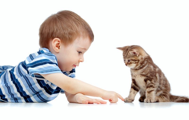 kind-und-katze-spielen-am-boden